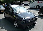 lupogirl161's Lupo