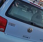 Conch's Lupo