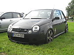 Luporacer1's Lupo