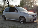 TeSty's Lupo