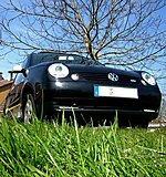 Lupo