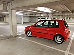Lupo