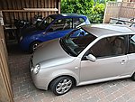 Lupo