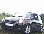 Lupo