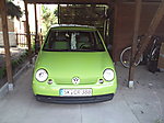 Lupo