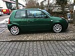 Lupo