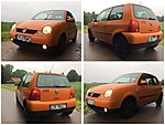 Lupo