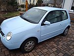 Lupo
