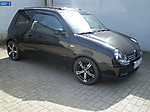 Lupo