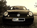 Lupo