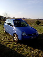 Lupo