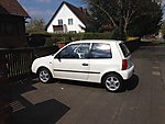 Lupo
