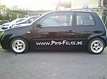 portugiese's Lupo