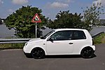 Lupo