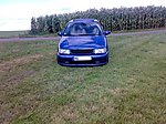 Lupo