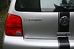 Lupo