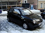 Lupo