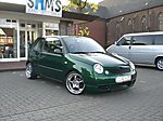 rooney's Lupo