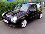 thellmiss's Lupo