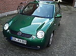 Lupo