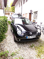 Lupo