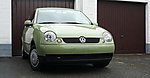 Lupo