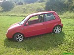 Lupo