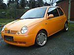 Lupo