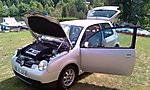 Lupo