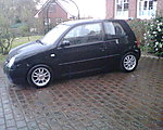 Lupo