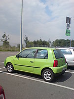 Lupo