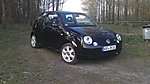 Lupo