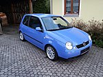 Lupo
