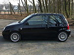 CE1987's Lupo
