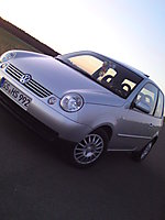 Lupo