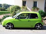 Lupo