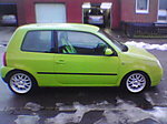 Lupo