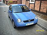 Lupo