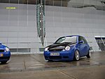 Lupo_Billy's Lupo