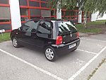 Lupo