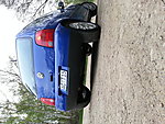 Lupo