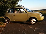 Lupo
