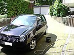 Lupo
