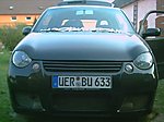 Lupo