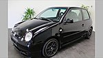 Lupo