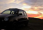 Lupo