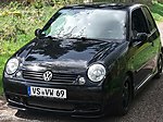 Lupo