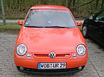 Lupo