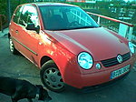 Lupo
