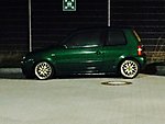 Lupo